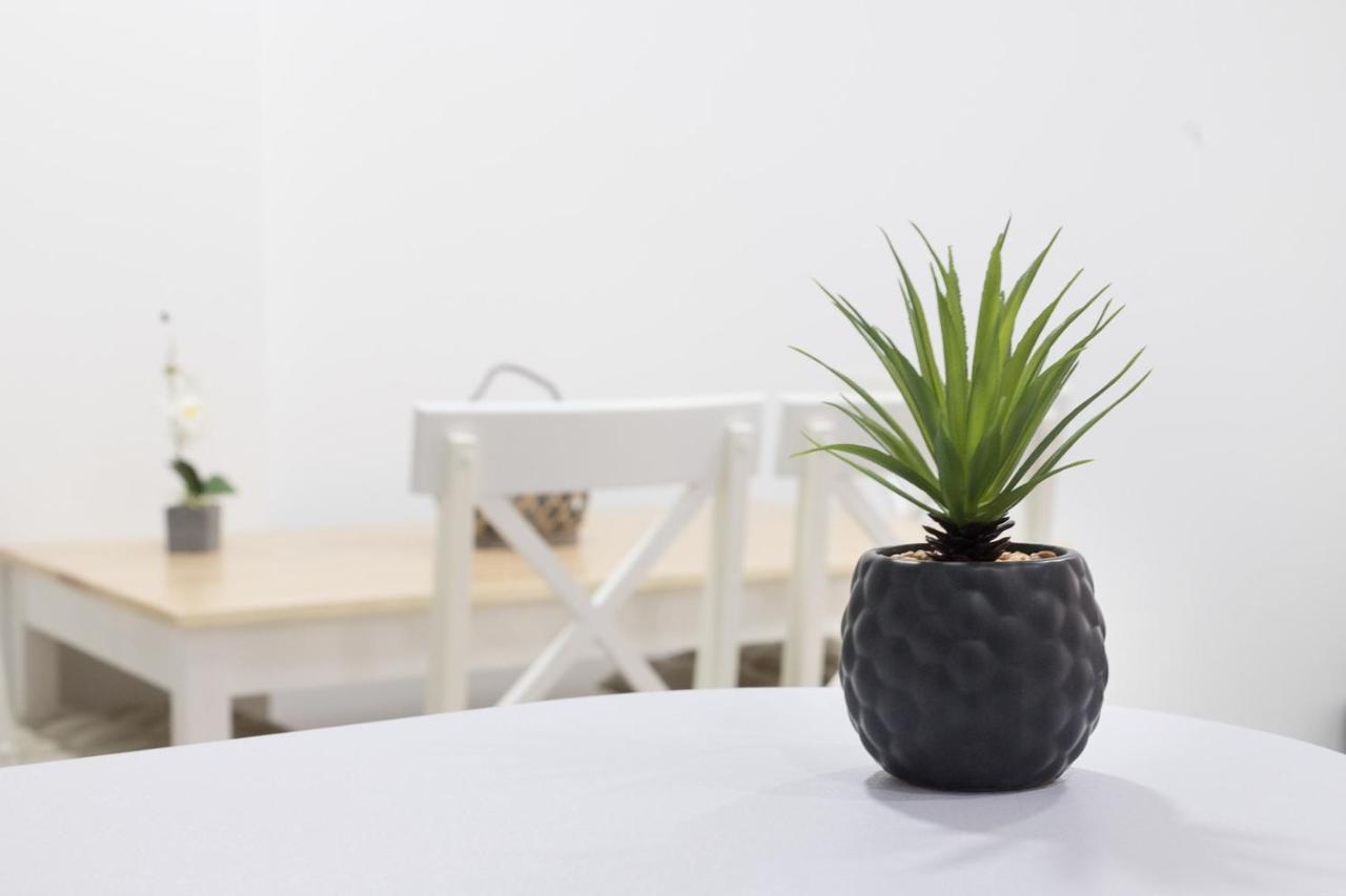 Moonkey - Apartamento Amaralba A Alicante Luaran gambar